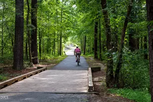 3312 Jeter James Way, Apex, NC 27523 - Photo 24