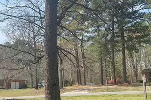 3017 Octavia Dr, Rocky Mount, NC 27804 - Photo 20