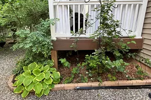 2106 Pear Tree Ln, Durham, NC 27703 - Photo 58