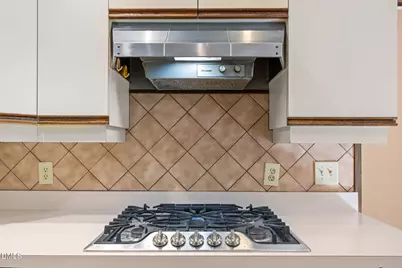 305 Plum Lane, Chapel Hill, NC 27517 - Photo 16