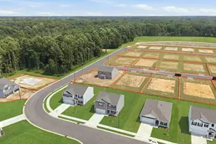 4846 Martha Wynd Wy, Farmville, NC 27828 - Photo 24
