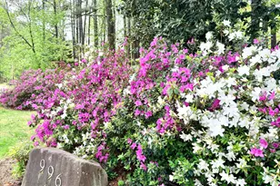 996 Cleland Dr, Chapel Hill, NC 27517 - Photo 52