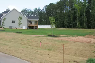 317 Coats Ridge Dr, Benson, NC 27504 - Photo 4