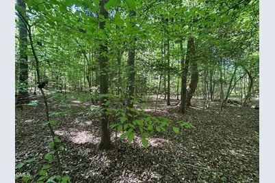 134 Red Dog Drive, Louisburg, NC 27549 - Photo 12
