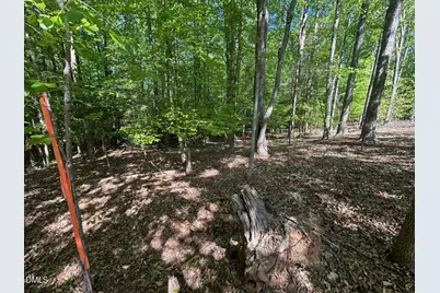 134 Red Dog Drive, Louisburg, NC 27549 - Photo 8
