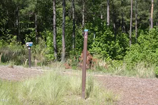 85 Summersweet Ln, Chapel Hill, NC 27516 - Photo 74