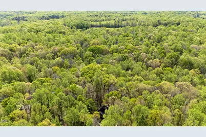 4524 Ridge Trail, Efland, NC 27243 - Photo 48