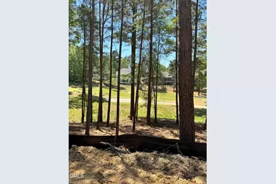 45 Quail Point, Pittsboro, NC 27312 - Photo 22