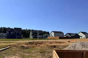 143 Grinnell Loop, Sanford, NC 27332 - Photo 6