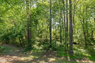 454 Stobhill Ln, Holly Springs, NC 27540 - Photo 42