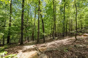 1004 Mocker Nut Ln, Chapel Hill, NC 27517 - Photo 48