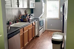 119 Schultz St, Chapel Hill, NC 27514 - Photo 10