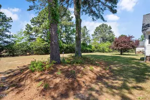 7012 Field Hill Rd, Raleigh, NC 27603 - Photo 34