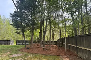 512 Bragg Ln, Hurdle Mills, NC 27541 - Photo 26