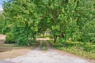 198 Pope Lake Rd, Angier, NC 27501 - Photo 32