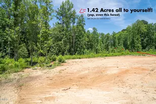 104 Stradshire Ct, Zebulon, NC 27597 - Photo 8