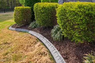 33 Barletta Ct, Clayton, NC 27527 - Photo 64