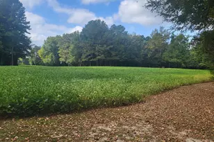 394 King Rd, Castalia, NC 27816 - Photo 72