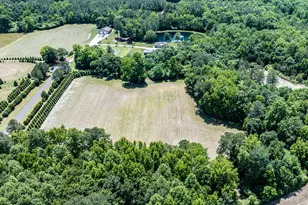394 King Rd, Castalia, NC 27816 - Photo 68