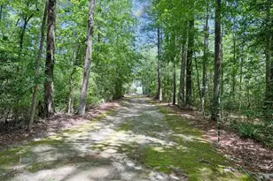 394 King Rd, Castalia, NC 27816 - Photo 96