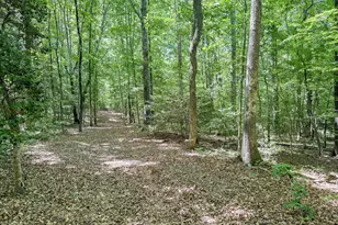 394 King Rd, Castalia, NC 27816 - Photo 94