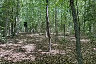 394 King Rd, Castalia, NC 27816 - Photo 92