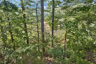 1714 Terry Rd, Durham, NC 27712 - Photo 42