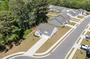 88 Molly Mac Ln, Angier, NC 27501 - Photo 46