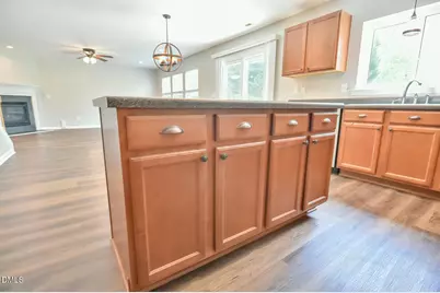 219 Hillview Drive, Durham, NC 27703 - Photo 24