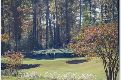 36 Rosefield Court, Pittsboro, NC 27312 - Photo 52