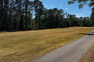 1723 Margarita, Sanford, NC 27332 - Photo 58