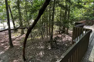 1723 Margarita, Sanford, NC 27332 - Photo 58