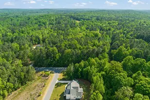 594 Birch Hollow Rd, Chapel Hill, NC 27516 - Photo 60