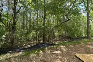 2317 Alex Cockman Rd, Pittsboro, NC 27312 - Photo 12