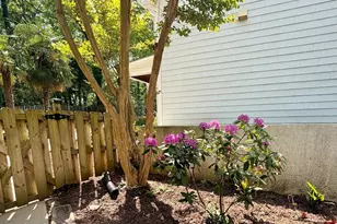 2905 Hunters Bluff Dr, Raleigh, NC 27606 - Photo 60