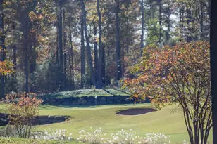 64 Mist Wood Ct, Pittsboro, NC 27312 - Photo 36