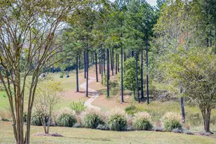 64 Mist Wood Ct, Pittsboro, NC 27312 - Photo 8