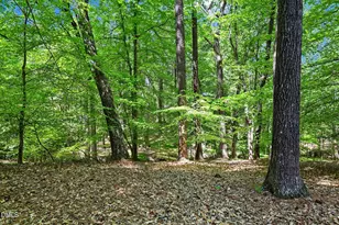 223 Windlestraw, Pittsboro, NC 27312 - Photo 26
