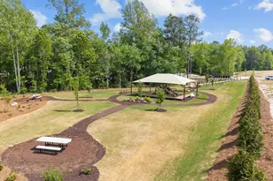 913 Diana Victoria Ct, Wendell, NC 27591 - Photo 40