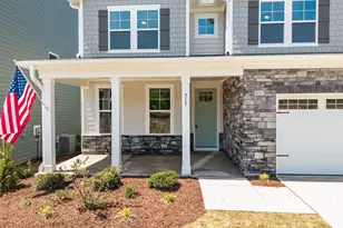 913 Diana Victoria Ct, Wendell, NC 27591 - Photo 40