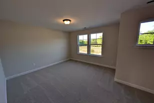 913 Diana Victoria Ct, Wendell, NC 27591 - Photo 12