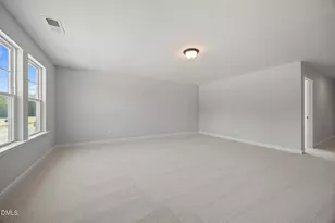 909 Diana Victoria Ct, Wendell, NC 27591 - Photo 18