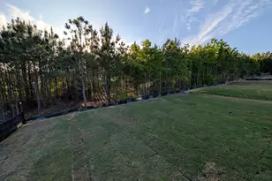 905 Diana Victoria Ct, Wendell, NC 27591 - Photo 26
