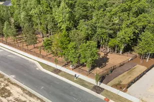 825 Diana Victoria Ct, Wendell, NC 27591 - Photo 56