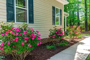190 Willow Ridge Dr, Louisburg, NC 27549 - Photo 36