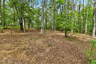 305 Beechwood Hill Dr, Raleigh, NC 27603 - Photo 56