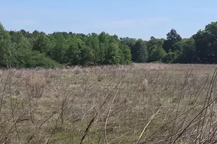 1471 St Andrews Church Rd, Sanford, NC 27332 - Photo 1