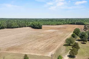 679 Mintz Rd, Roseboro, NC 28382 - Photo 72