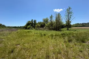 679 Mintz Rd, Roseboro, NC 28382 - Photo 74