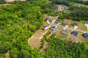463 Jackson Pond Dr, Smithfield, NC 27577 - Photo 52